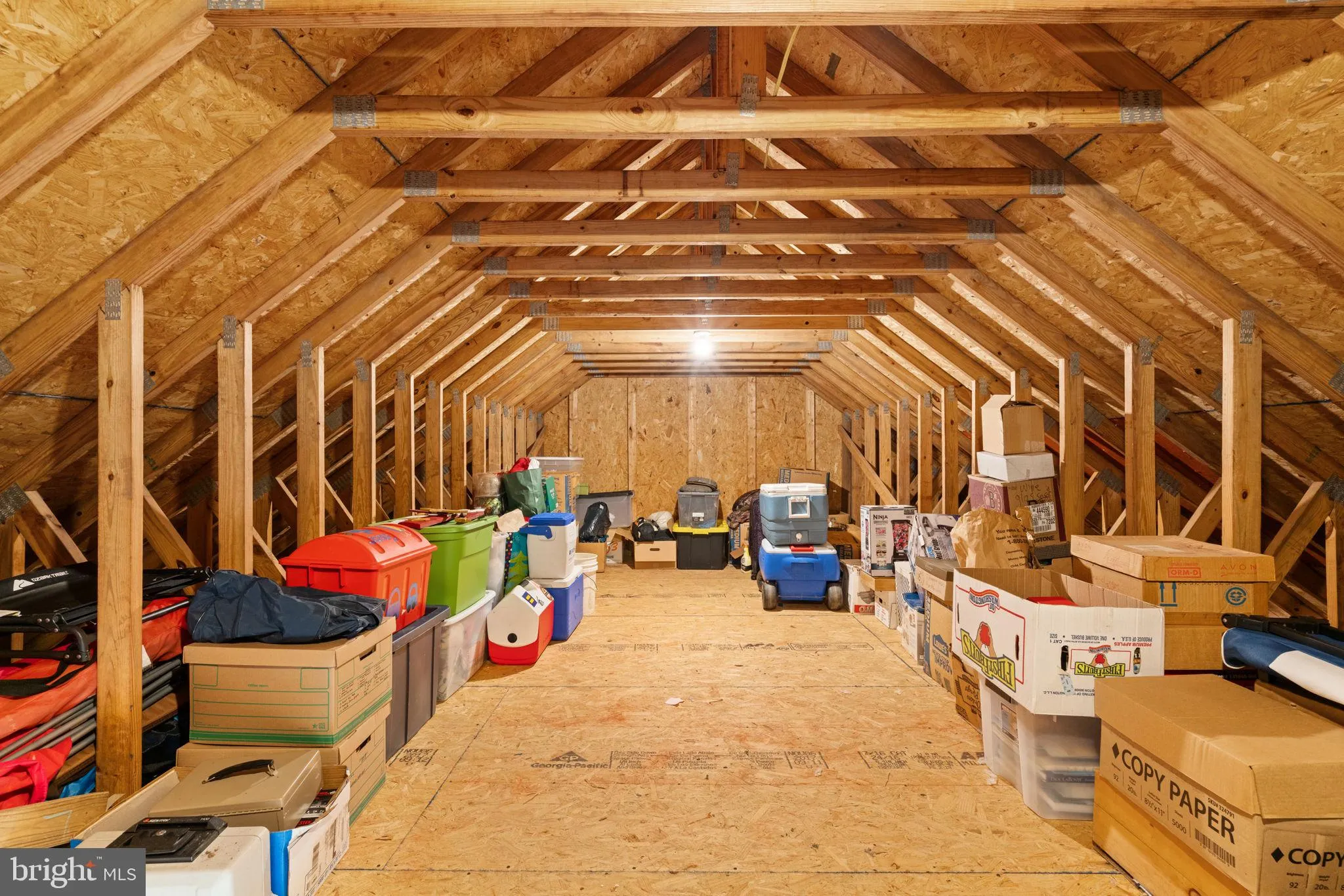 Fredericksburg, Virginia 22401, United States, 4 Bedrooms Bedrooms, ,3 BathroomsBathrooms,Residential,Active,120601