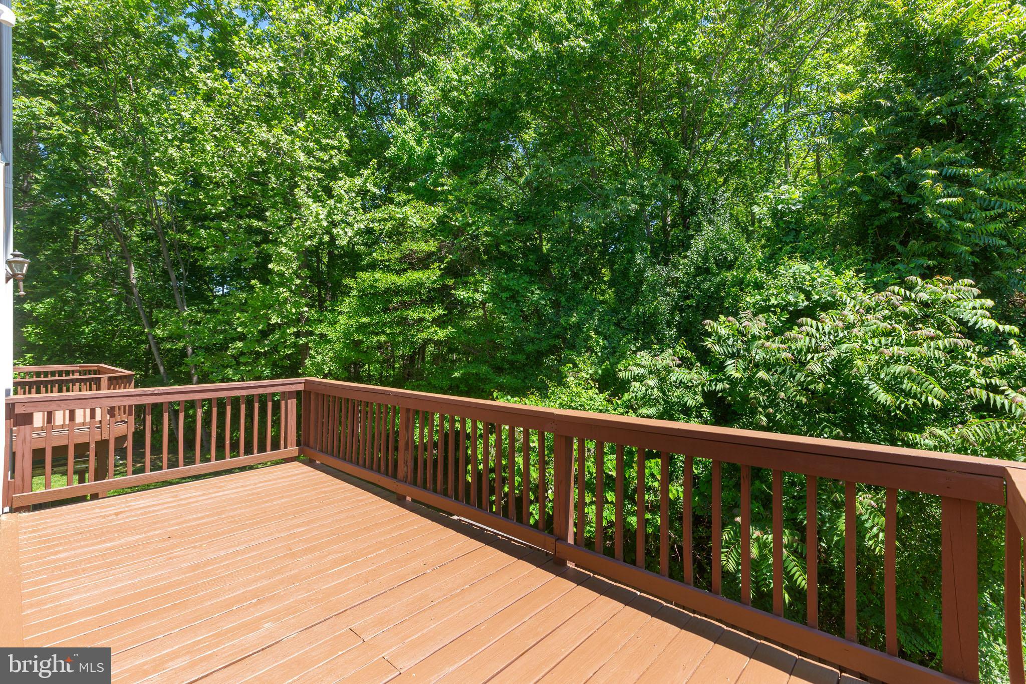 CHAPLINE PLACE - Residential