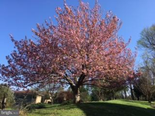 RIVERVIEW ESTATES - Residential