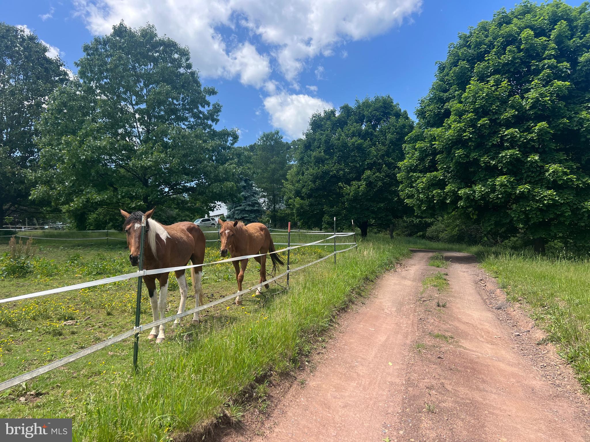 HICKORY CORNER - Residential