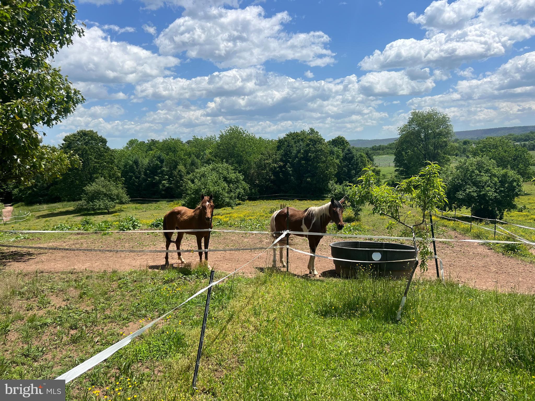 HICKORY CORNER - Residential