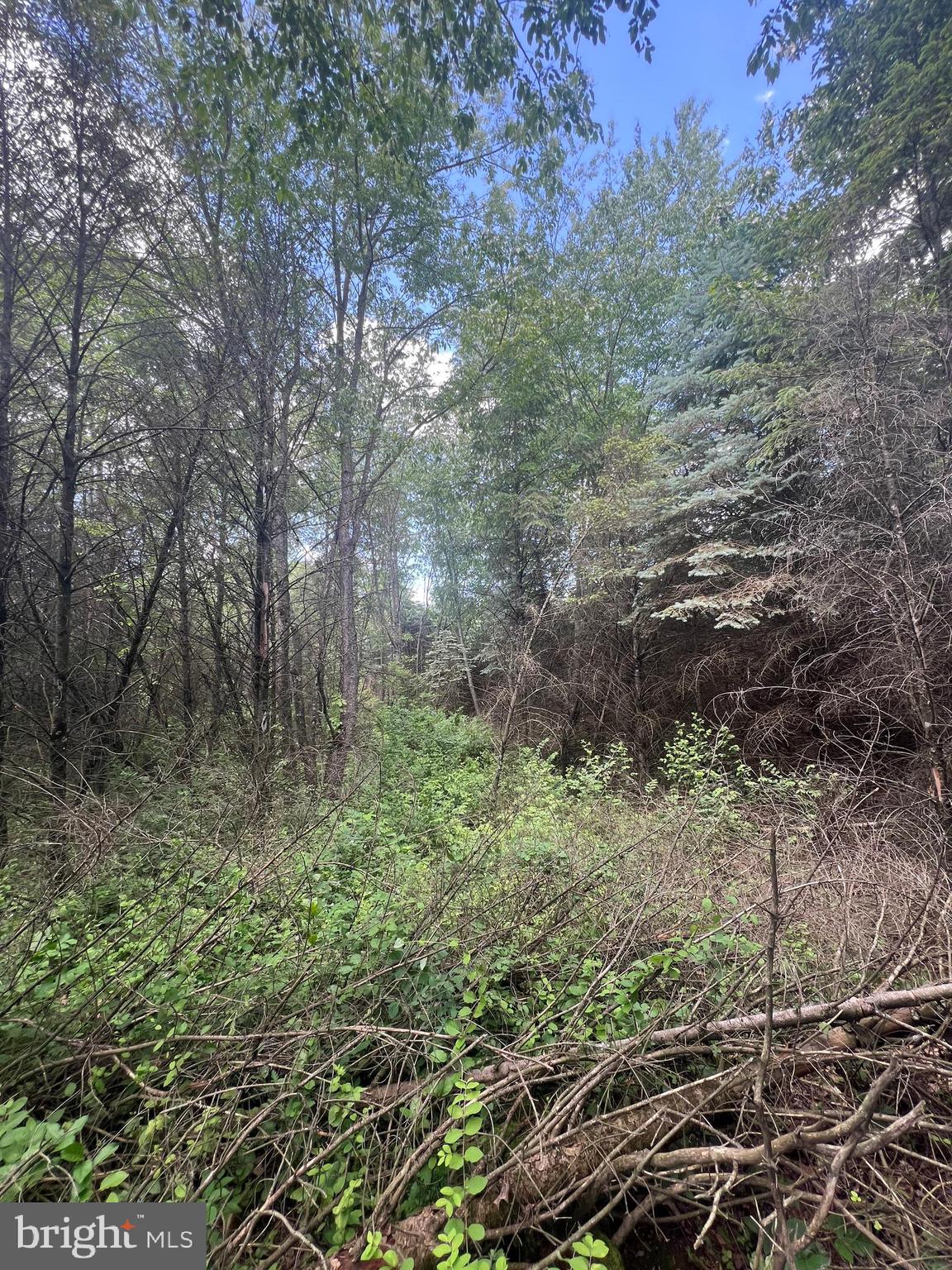 HICKORY CORNER - Residential