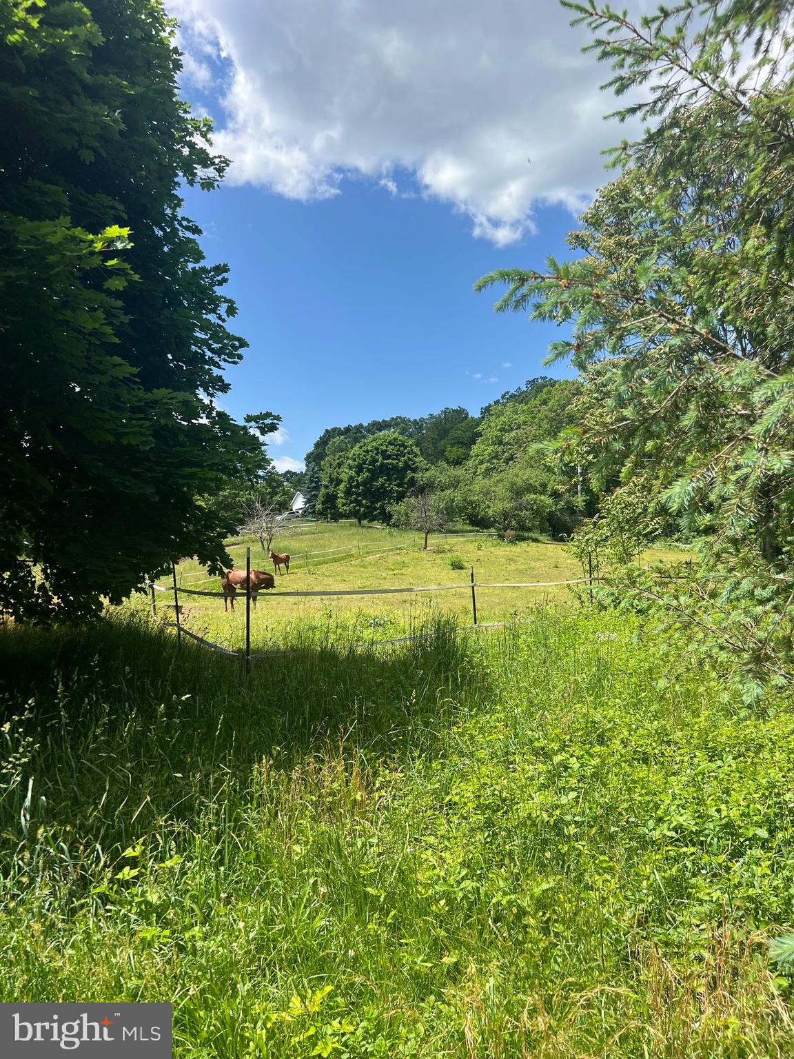 HICKORY CORNER - Residential