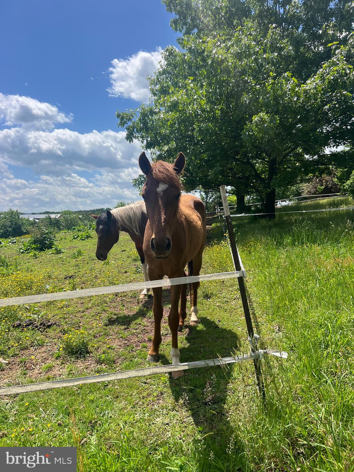 HICKORY CORNER - Residential