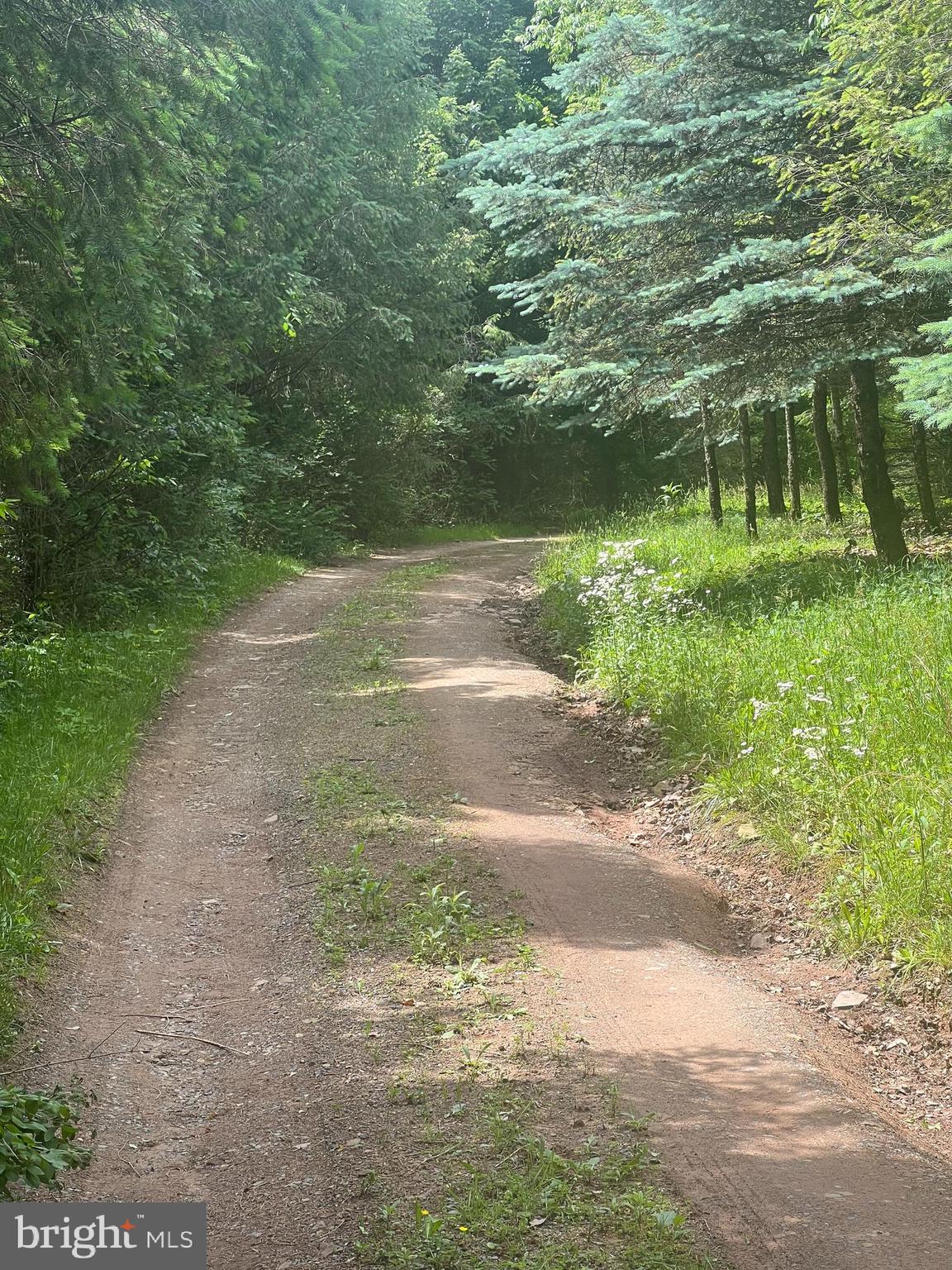 HICKORY CORNER - Residential