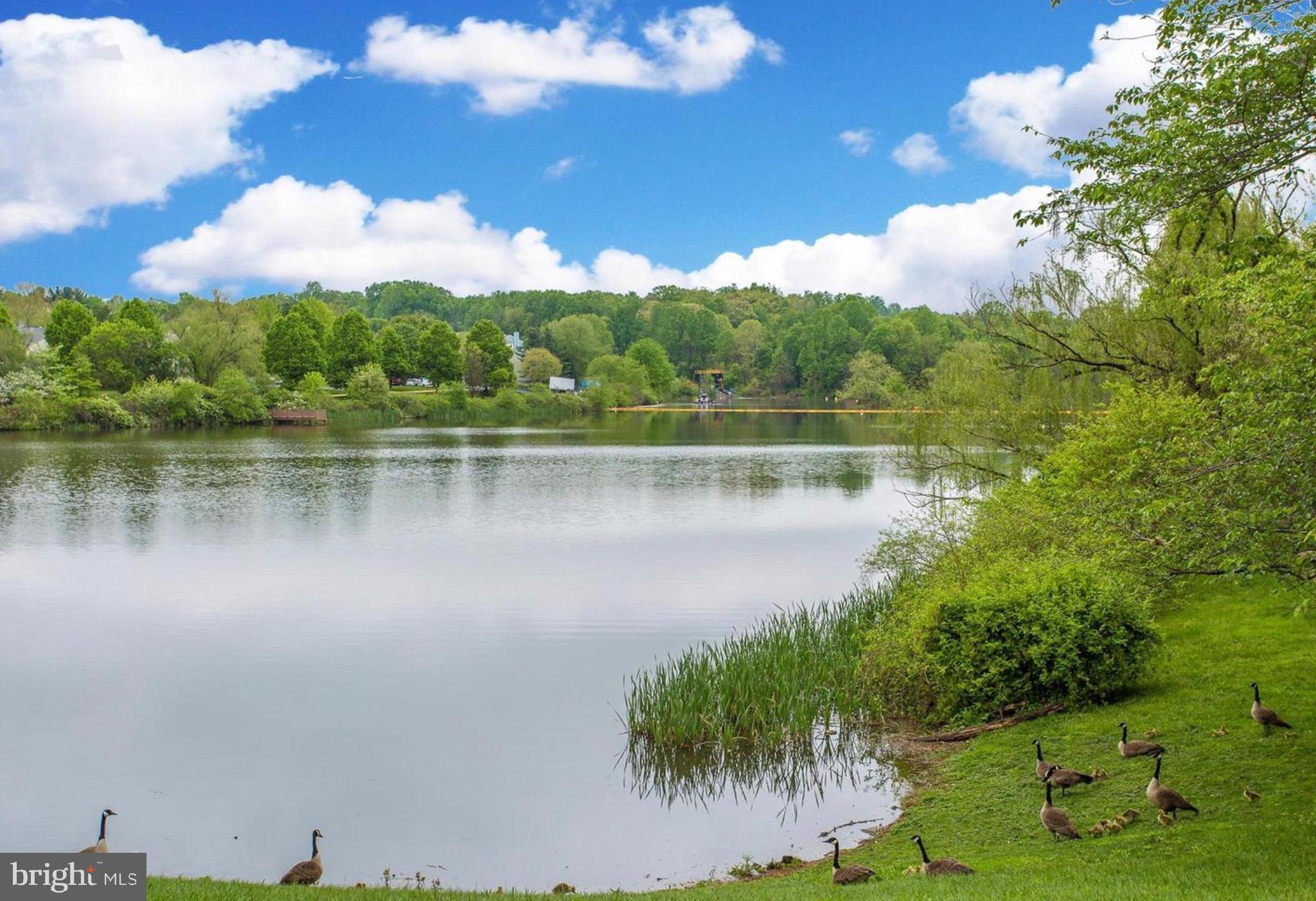 GUNNERS LAKE VILLAGE - Residential