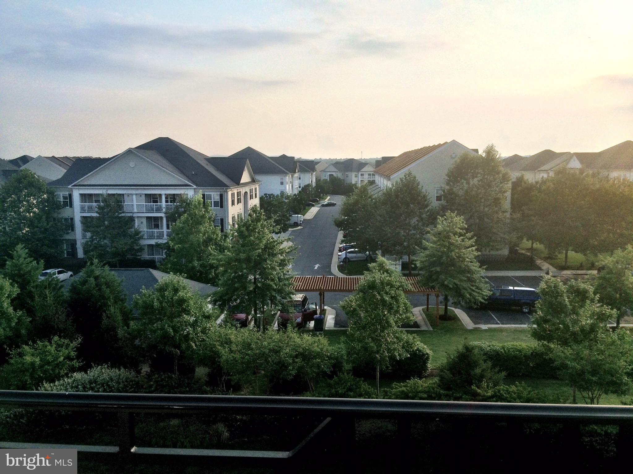 RESIDENCES AT BRAMBLETON - Residential Lease