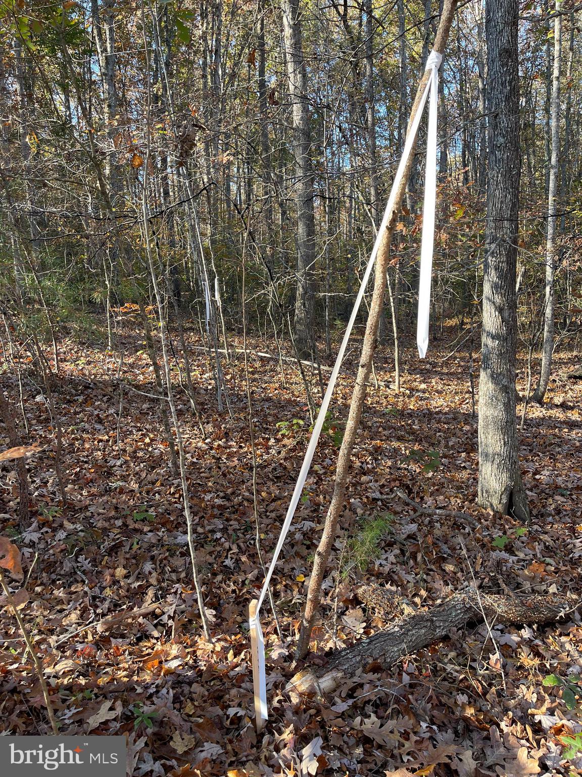 7120 DOMINIQUE DRIVE