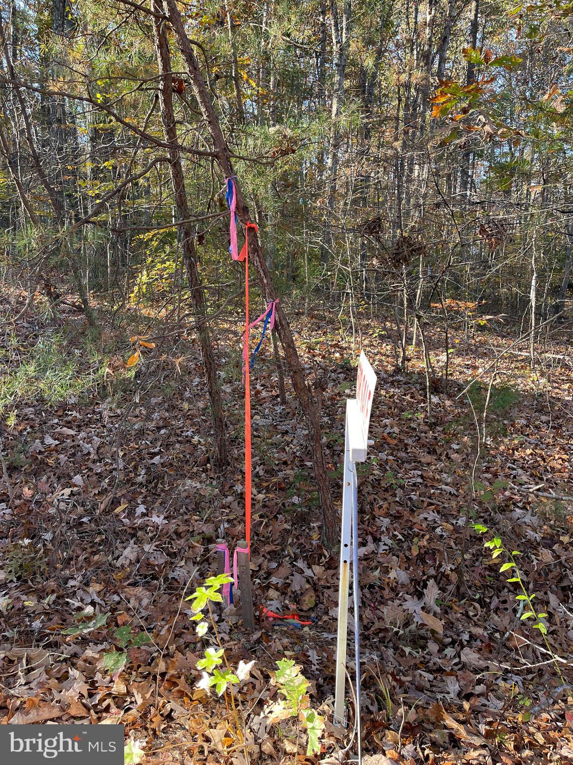 7120 DOMINIQUE DRIVE