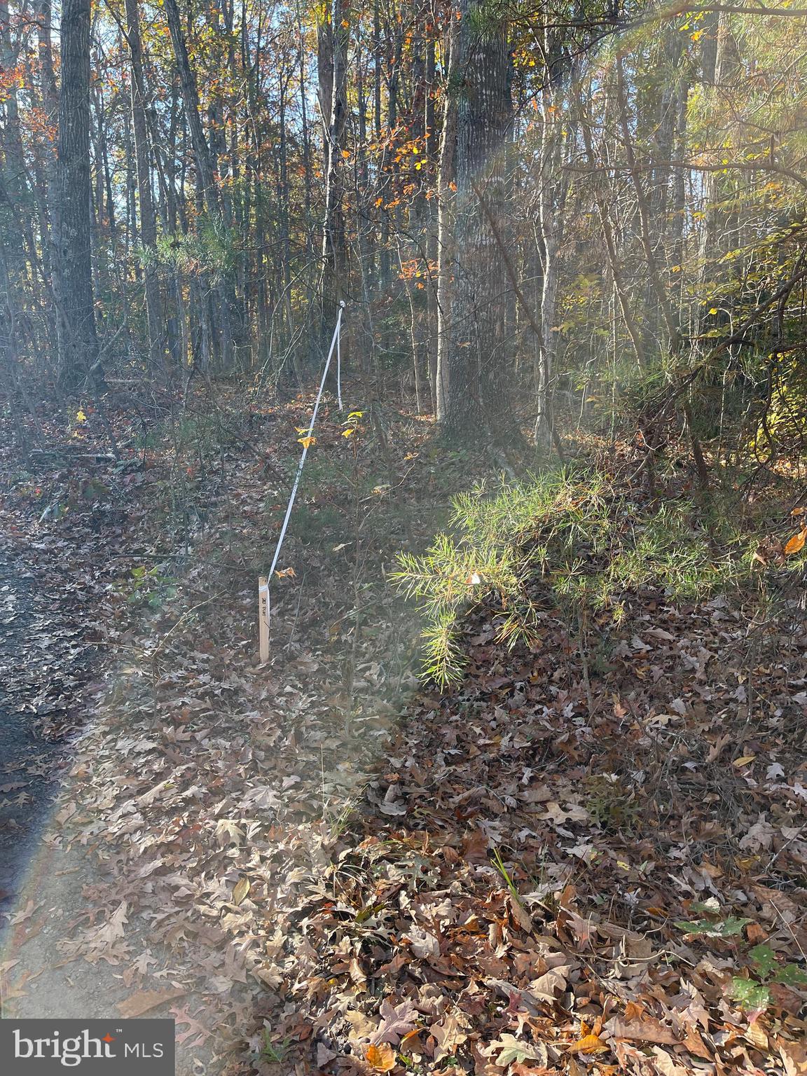 7120 DOMINIQUE DRIVE