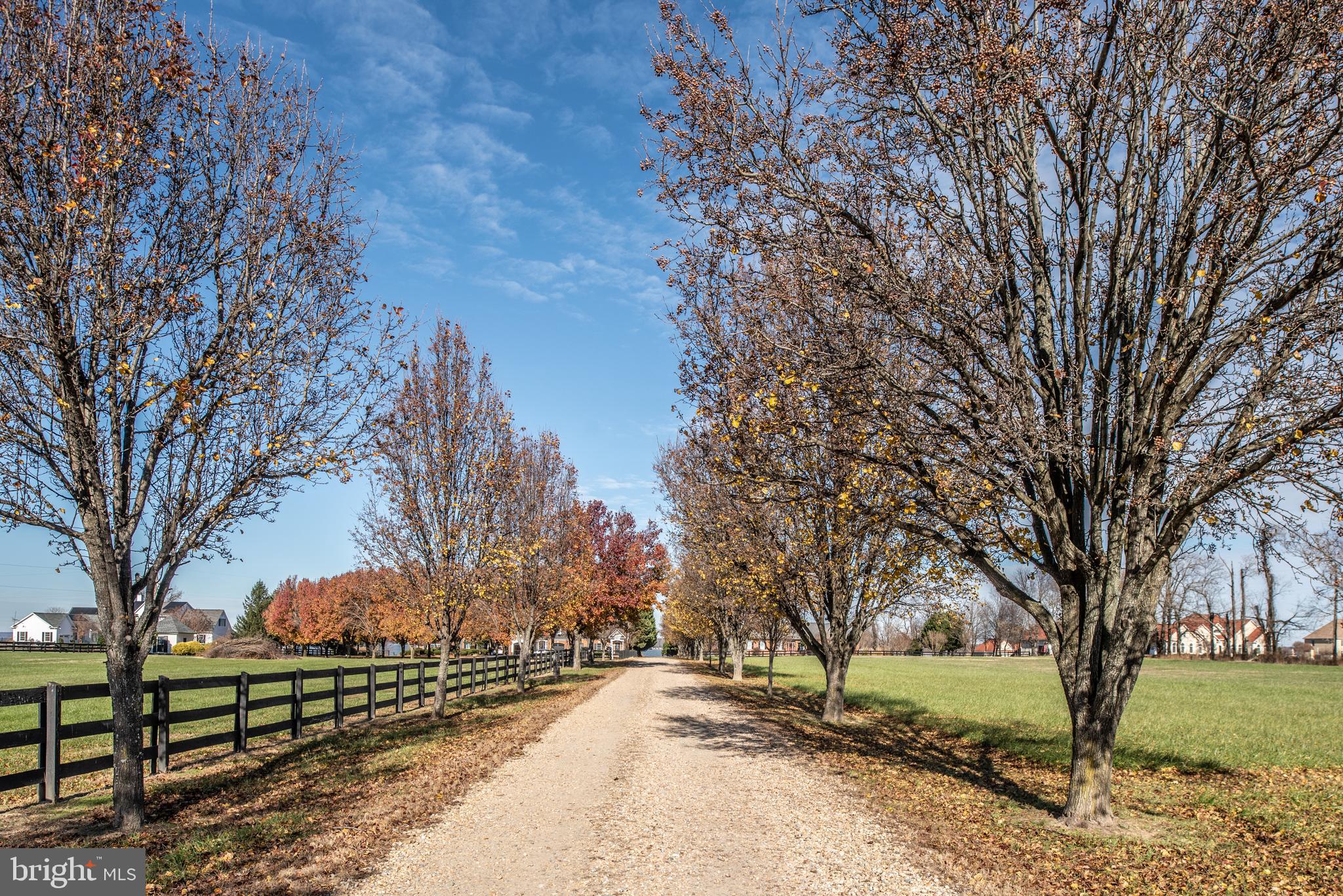 NO HOA - Residential