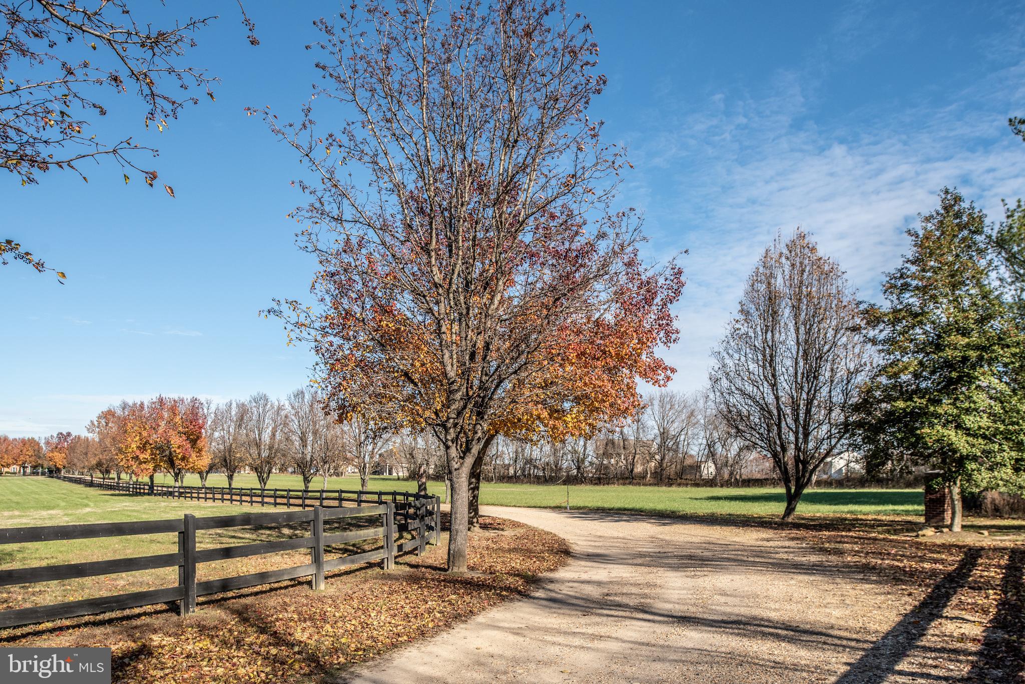 NO HOA - Residential