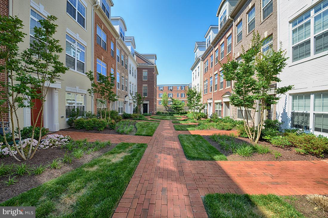 BALLSTON - Residential Lease