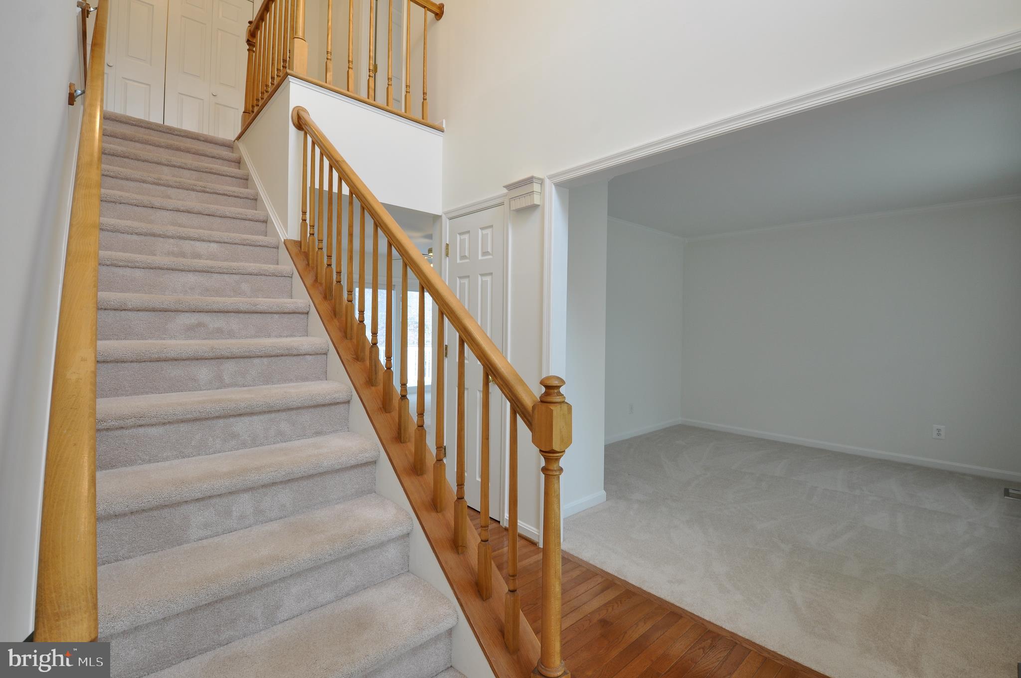 SMOKETREE - Residential