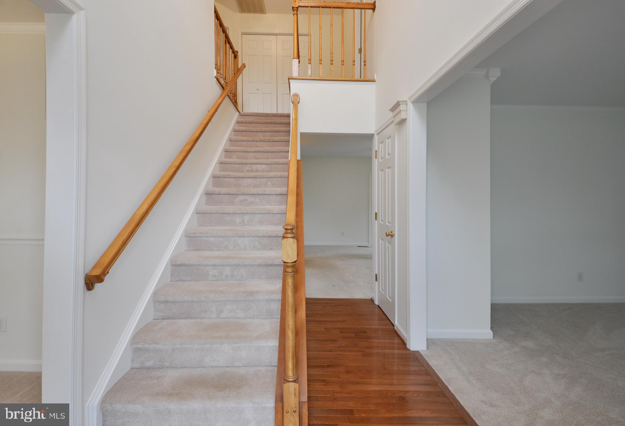 SMOKETREE - Residential