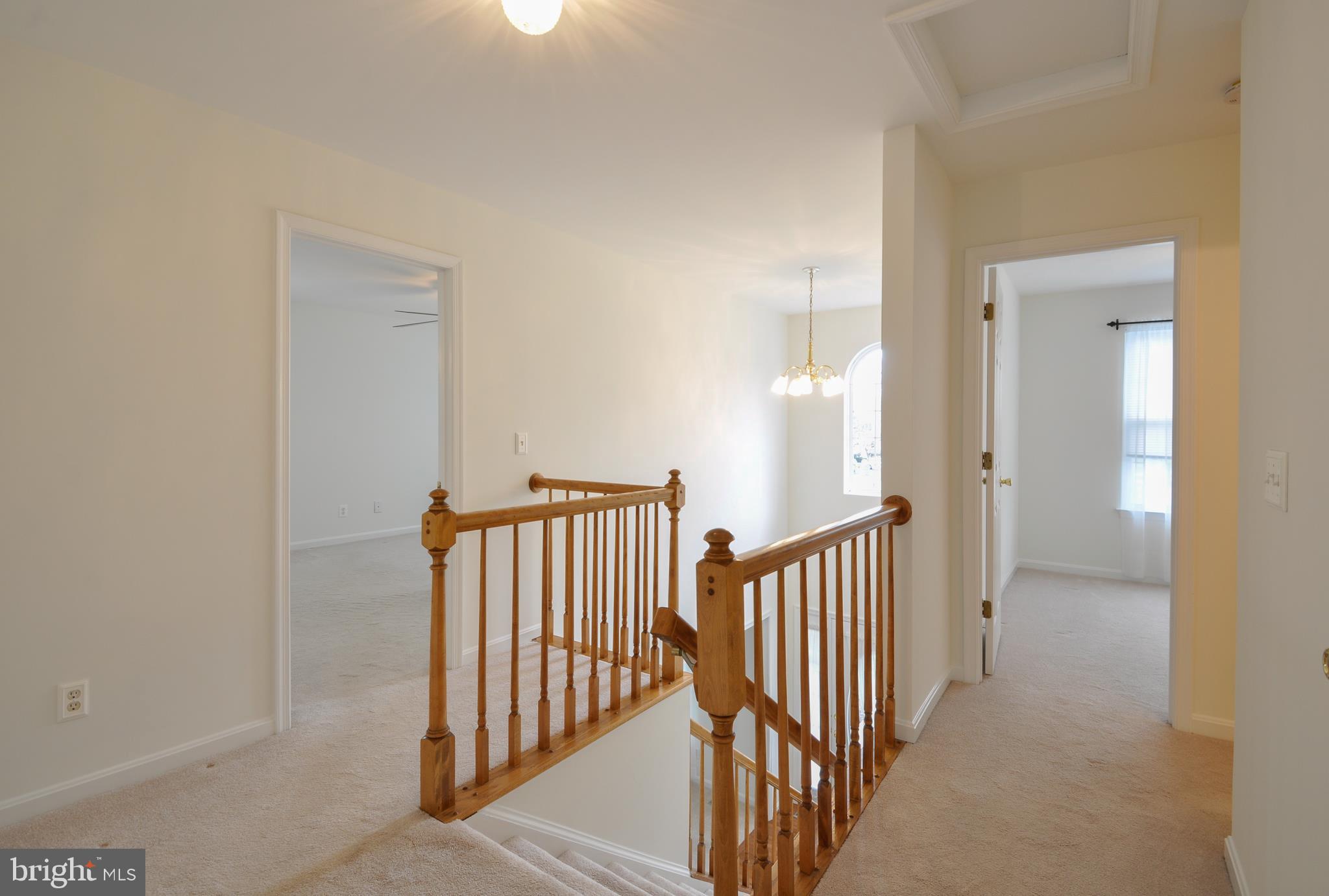 SMOKETREE - Residential