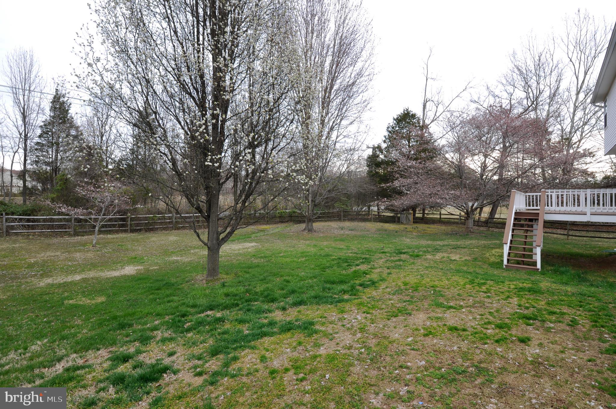 SMOKETREE - Residential