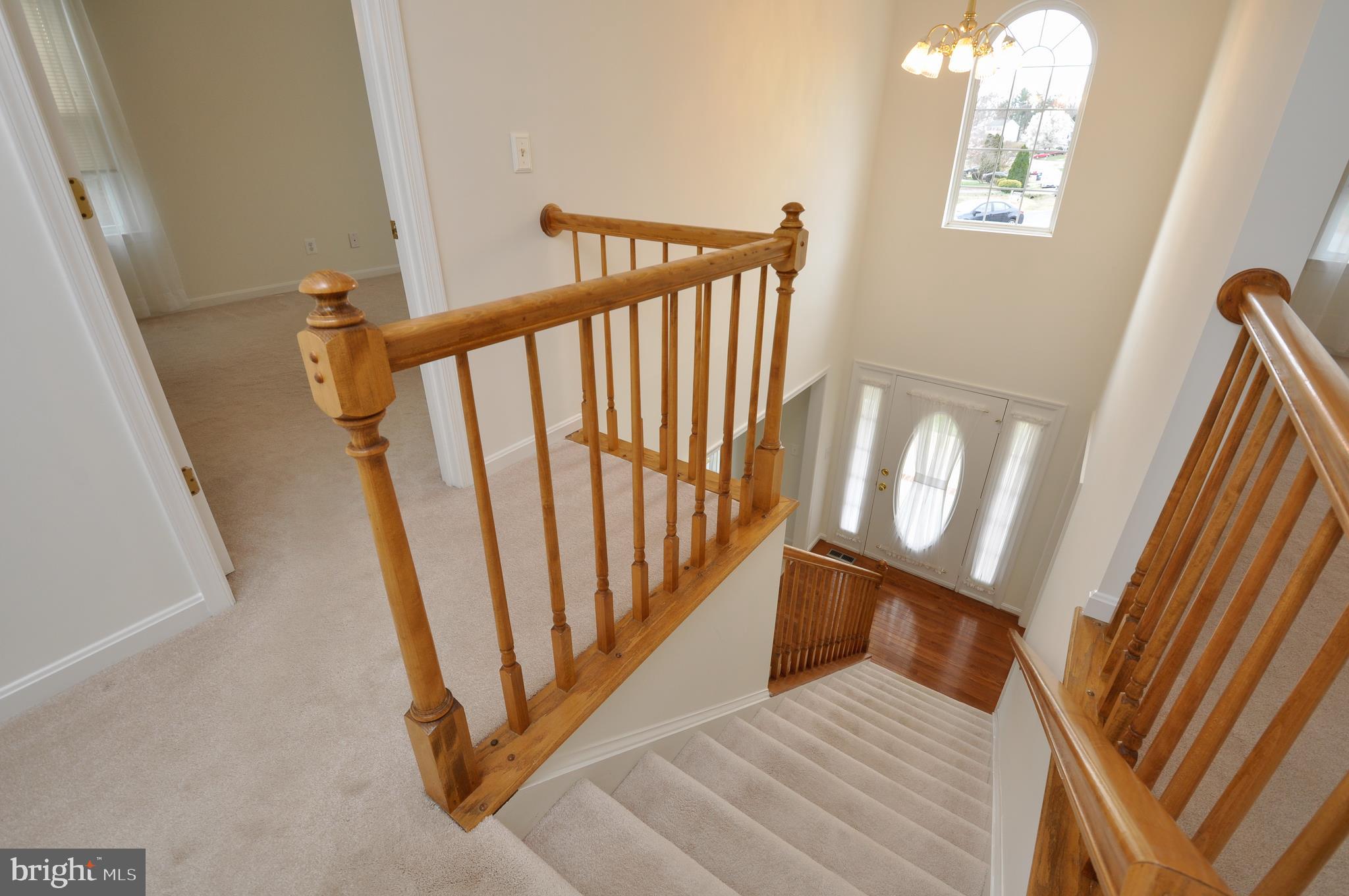 SMOKETREE - Residential