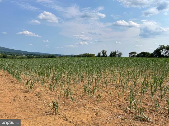 NONE AVAILABLE - Farm