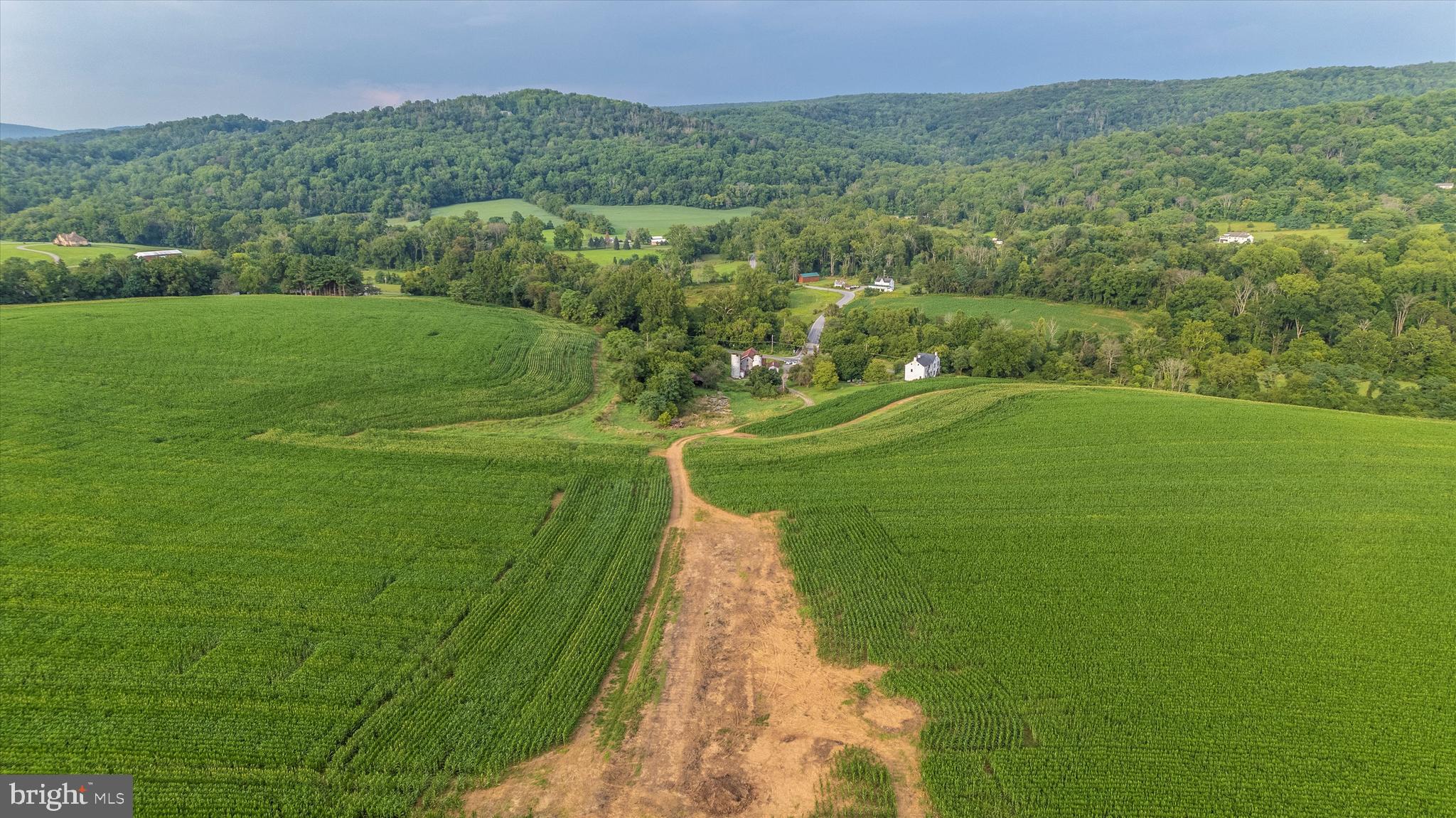 NONE AVAILABLE - Farm