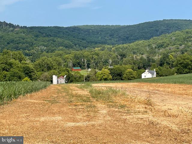 NONE AVAILABLE - Farm