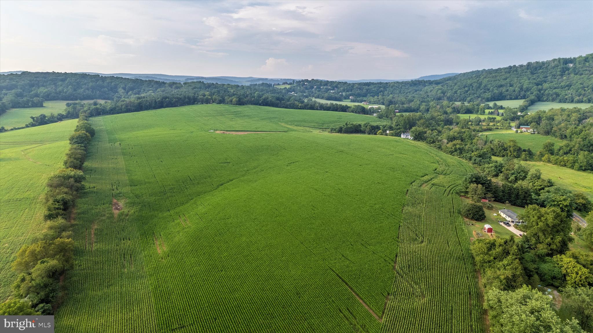 NONE AVAILABLE - Farm