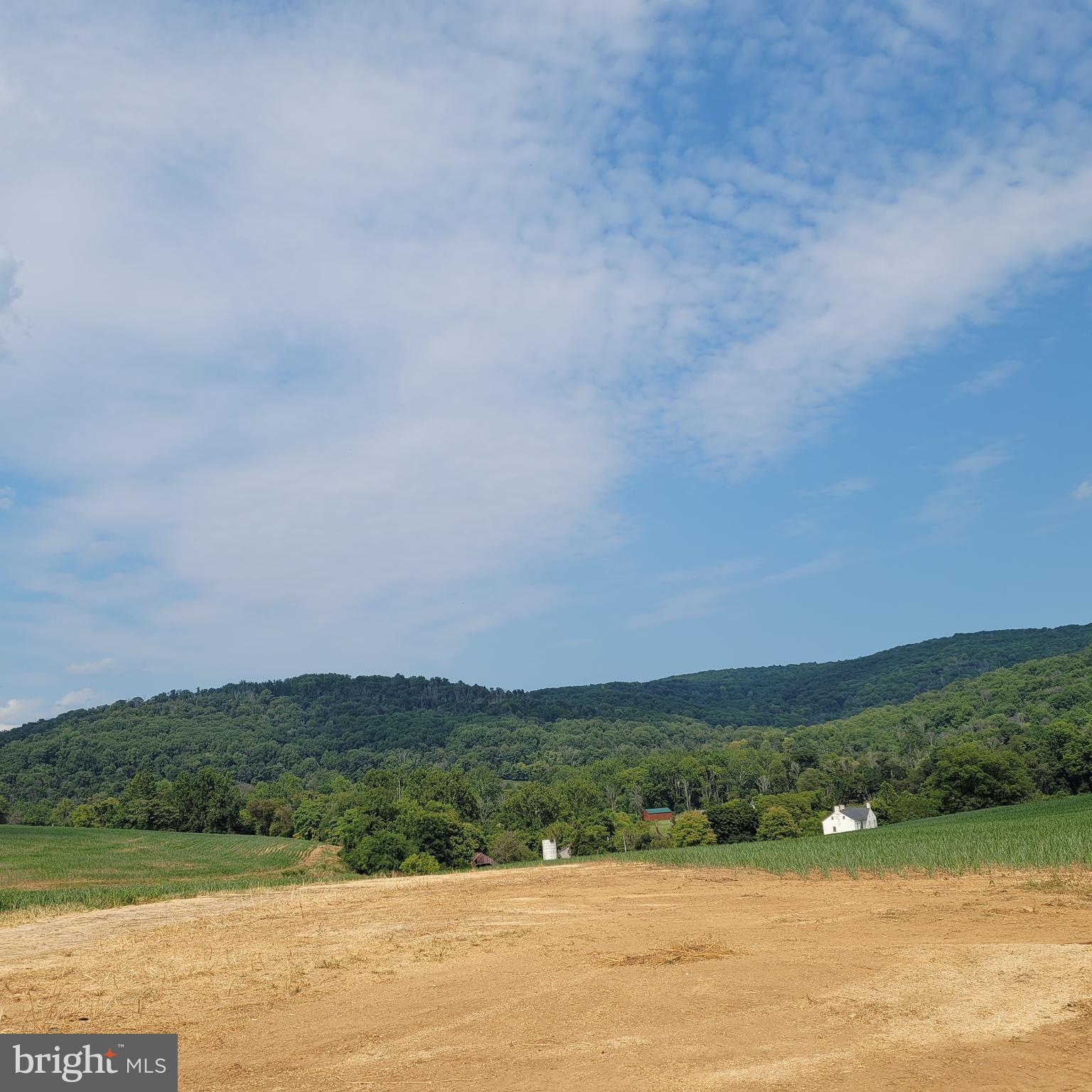 NONE AVAILABLE - Farm