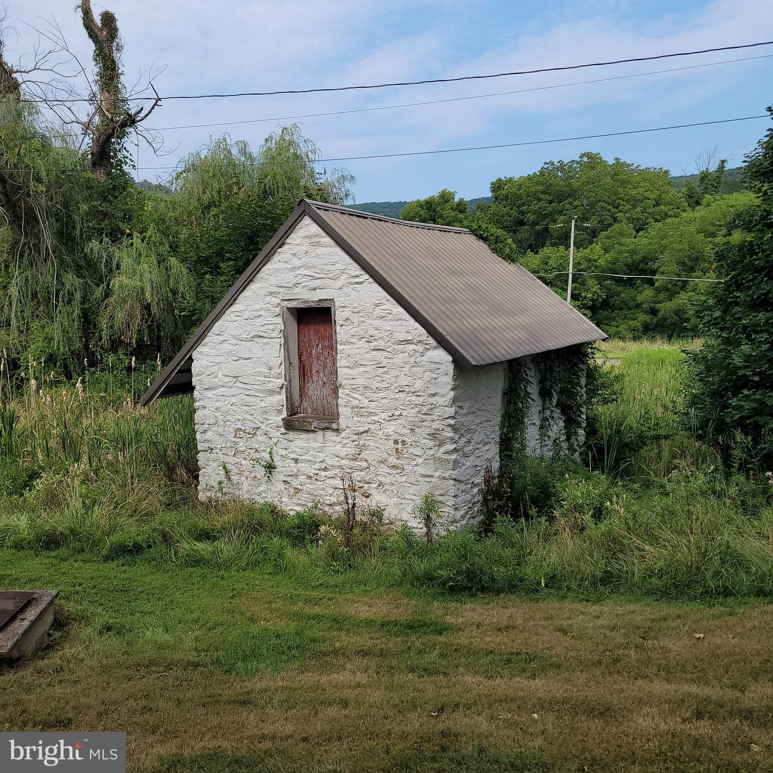 NONE AVAILABLE - Farm