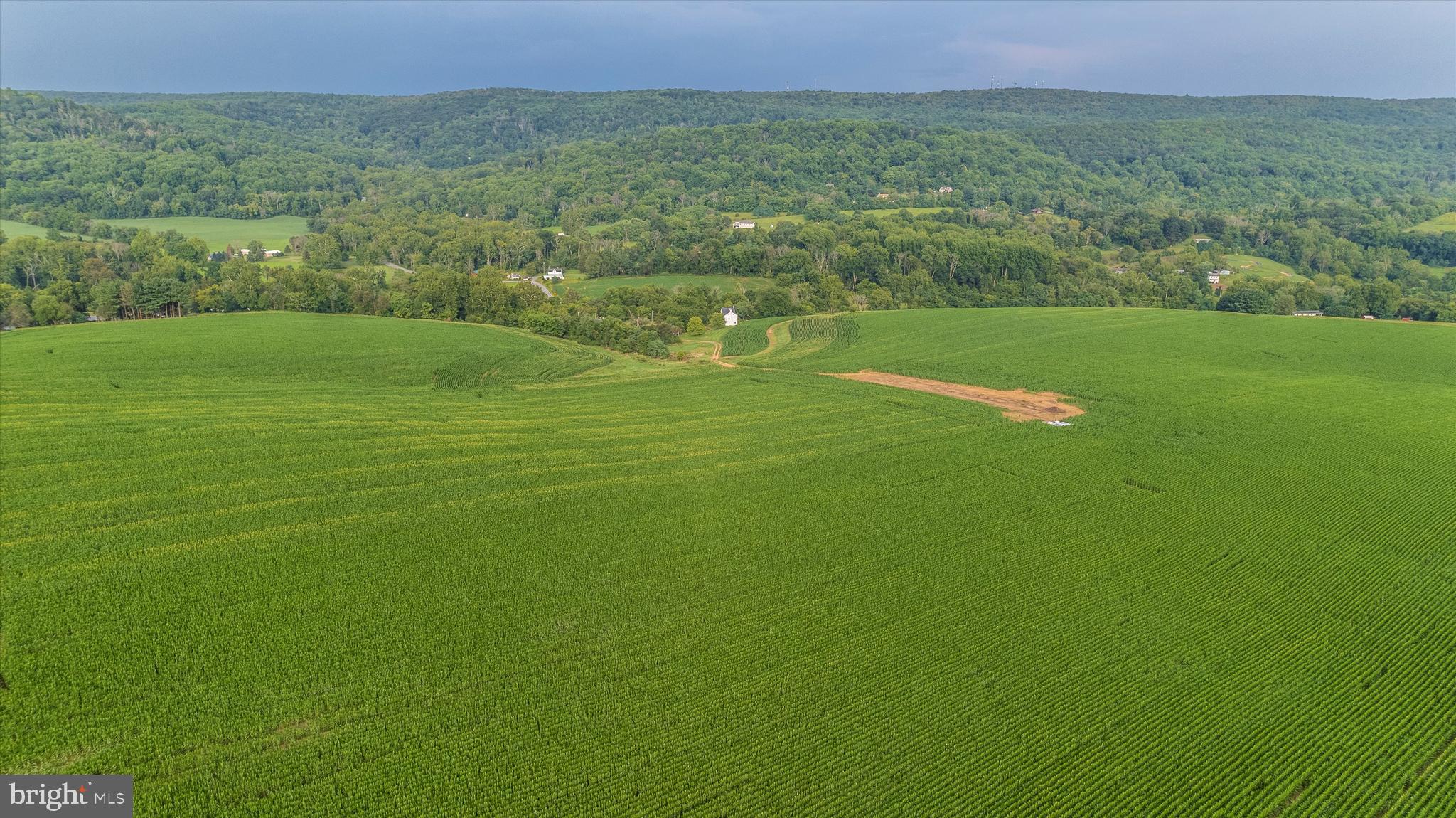 NONE AVAILABLE - Farm