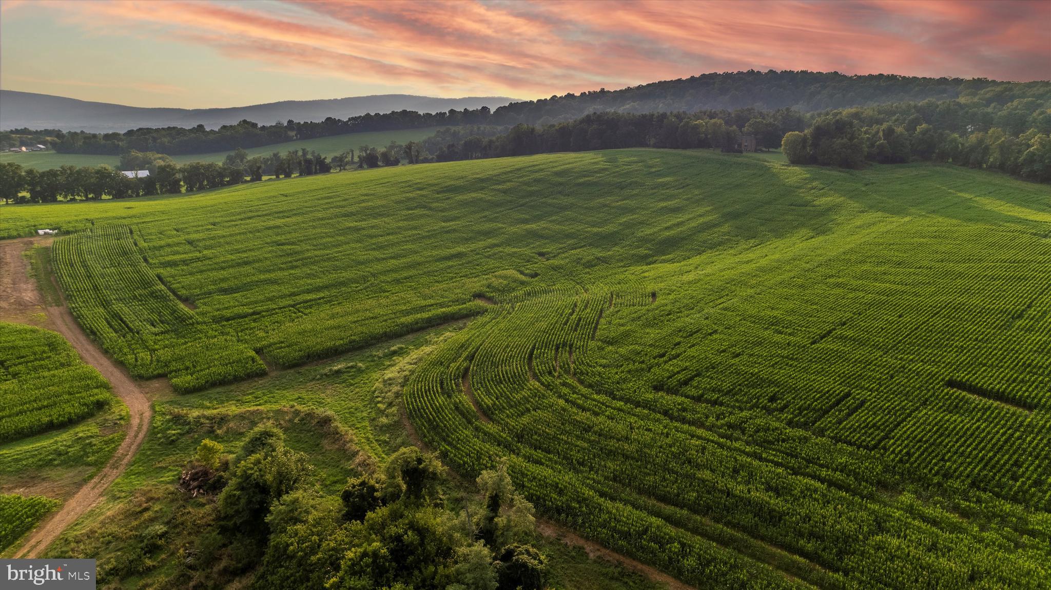 NONE AVAILABLE - Farm