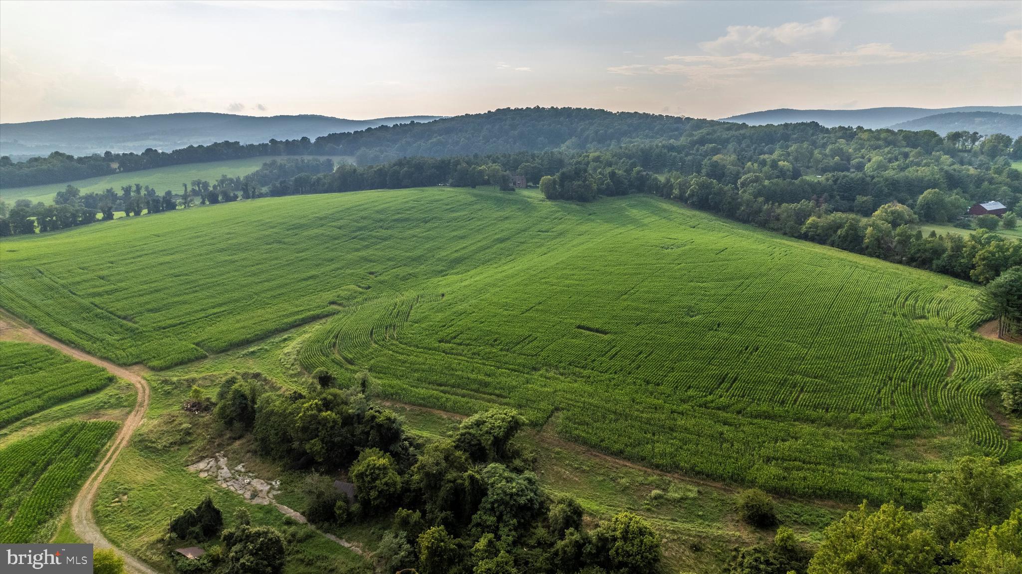 NONE AVAILABLE - Farm