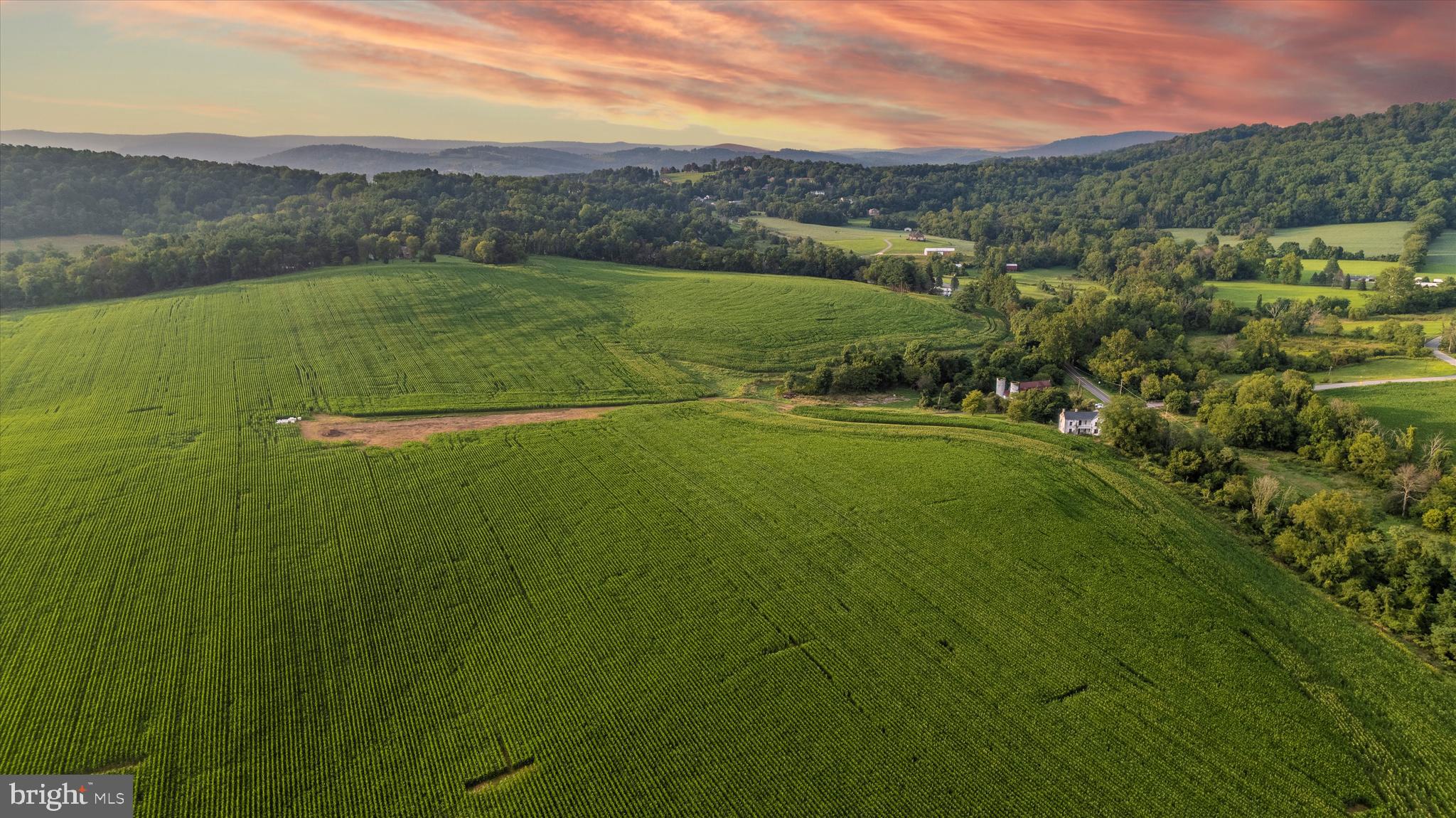 NONE AVAILABLE - Farm