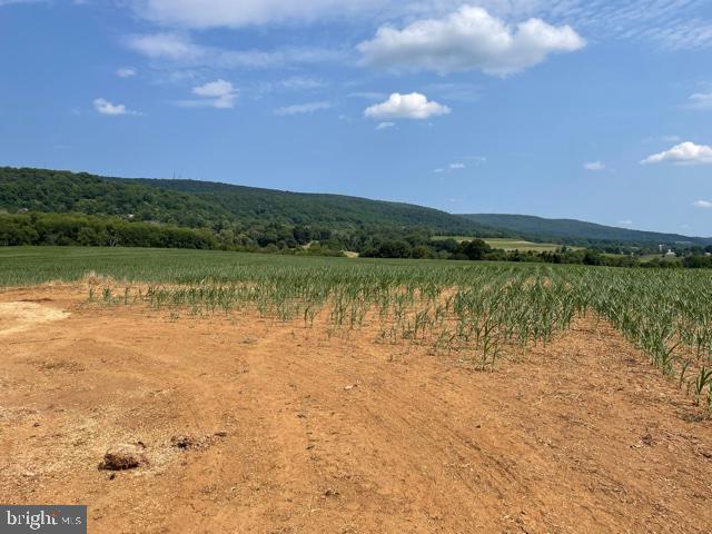 NONE AVAILABLE - Farm