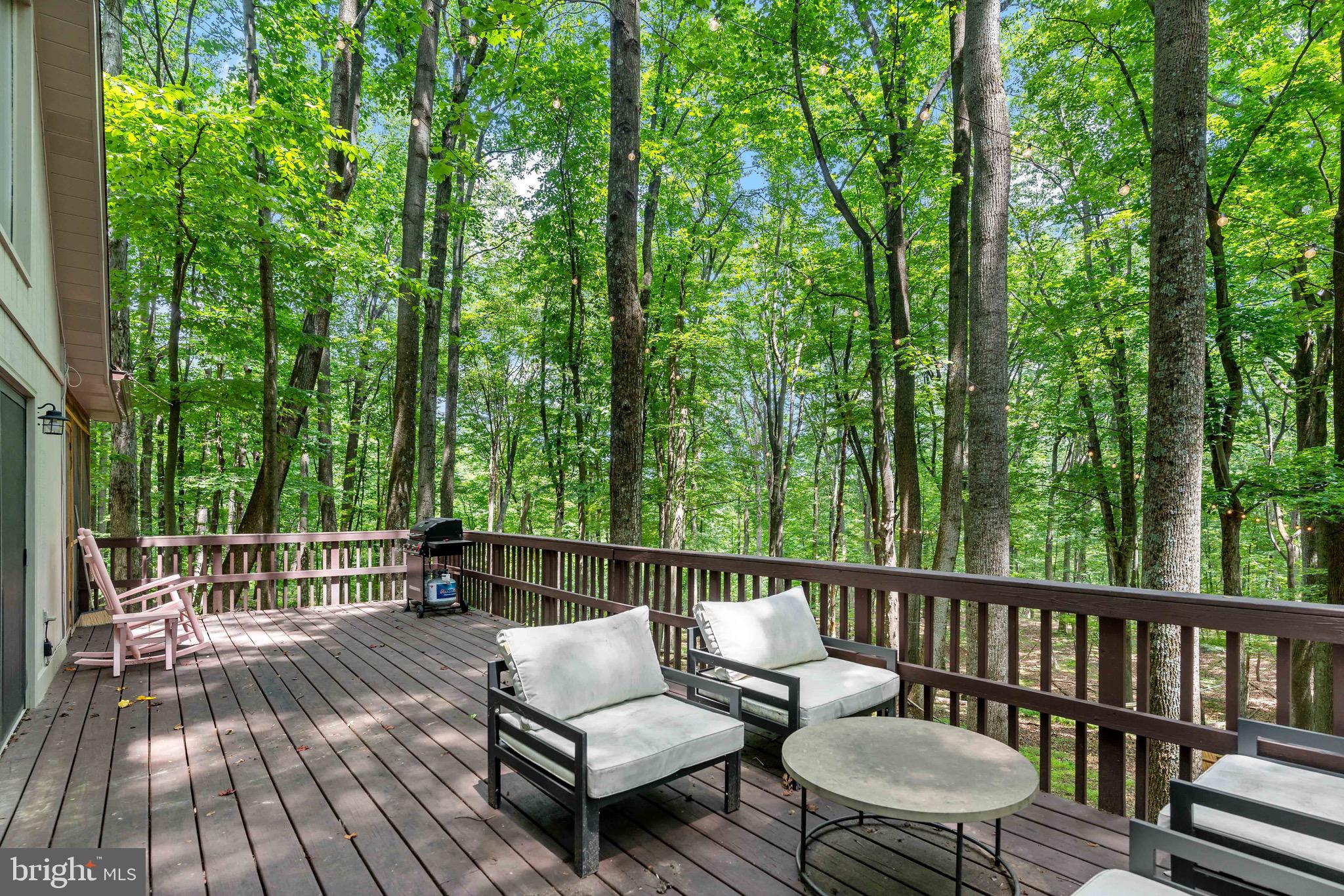 ROCK GAP WOODS - Residential