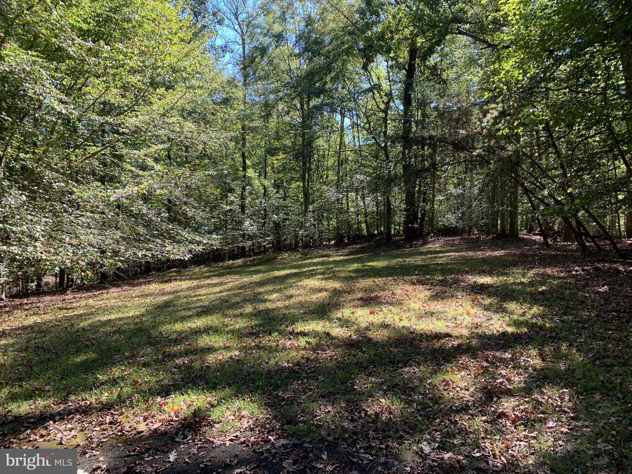 MILL BRANCH - Residential