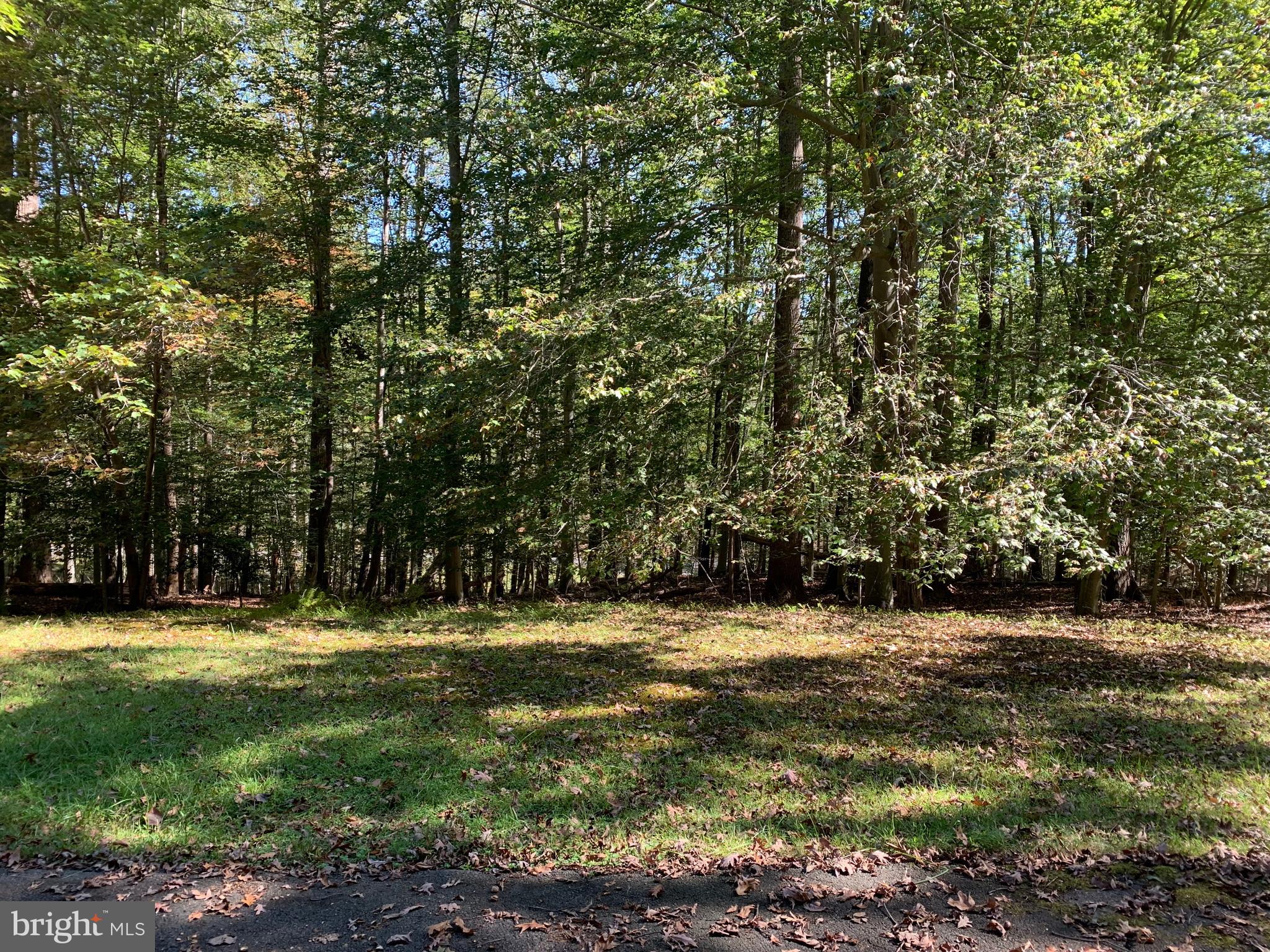 MILL BRANCH - Residential