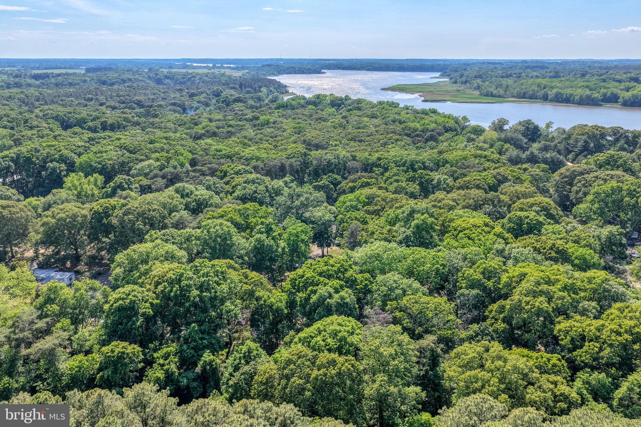 DUCKS NECK - Residential