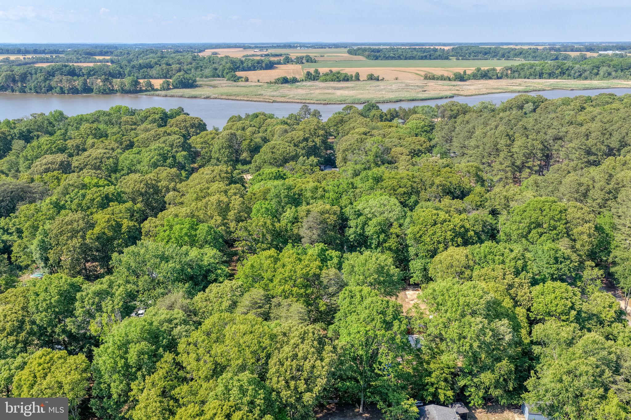 DUCKS NECK - Residential
