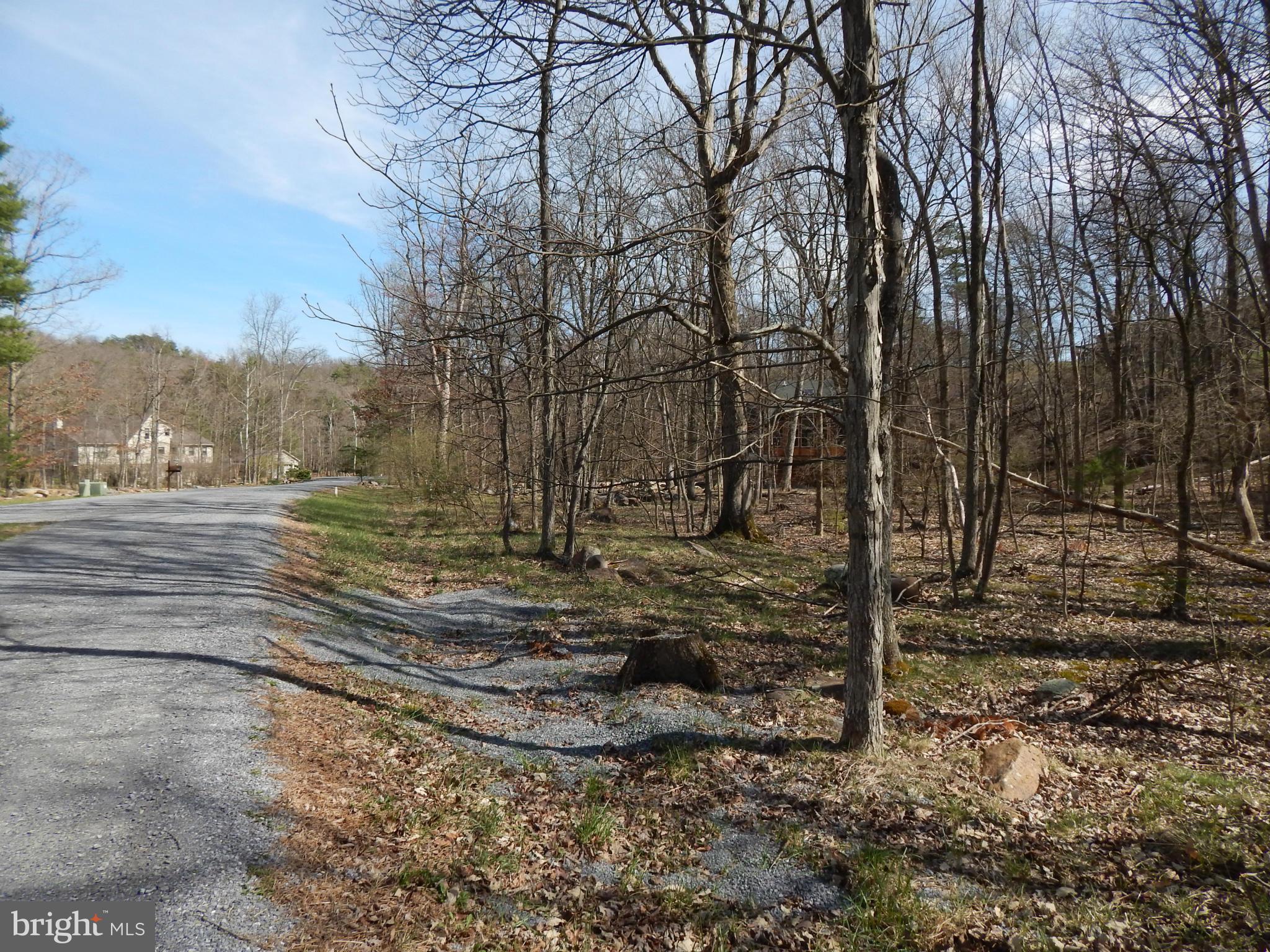 CACAPON SOUTH - Land