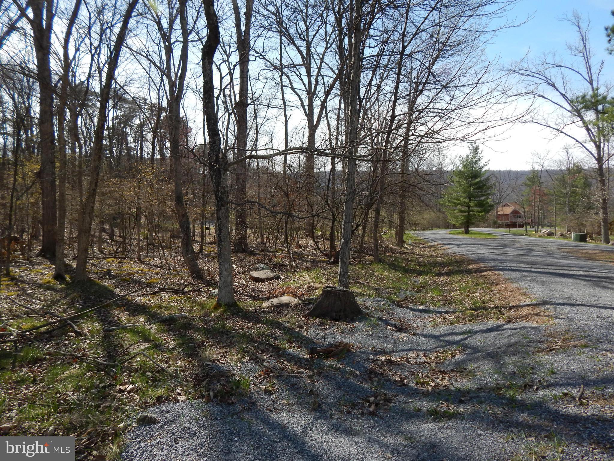 CACAPON SOUTH - Land