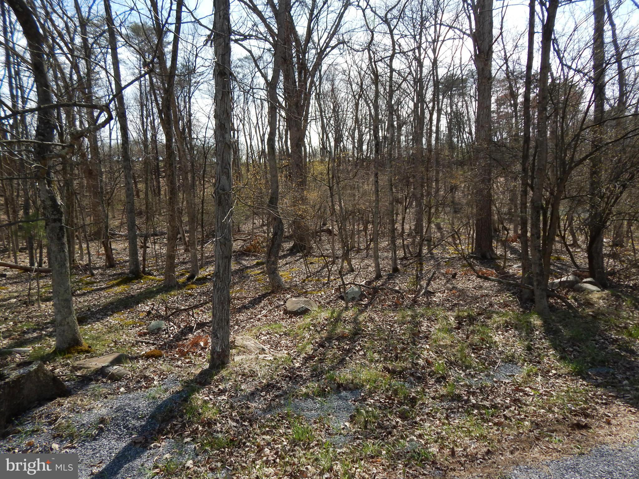 CACAPON SOUTH - Land