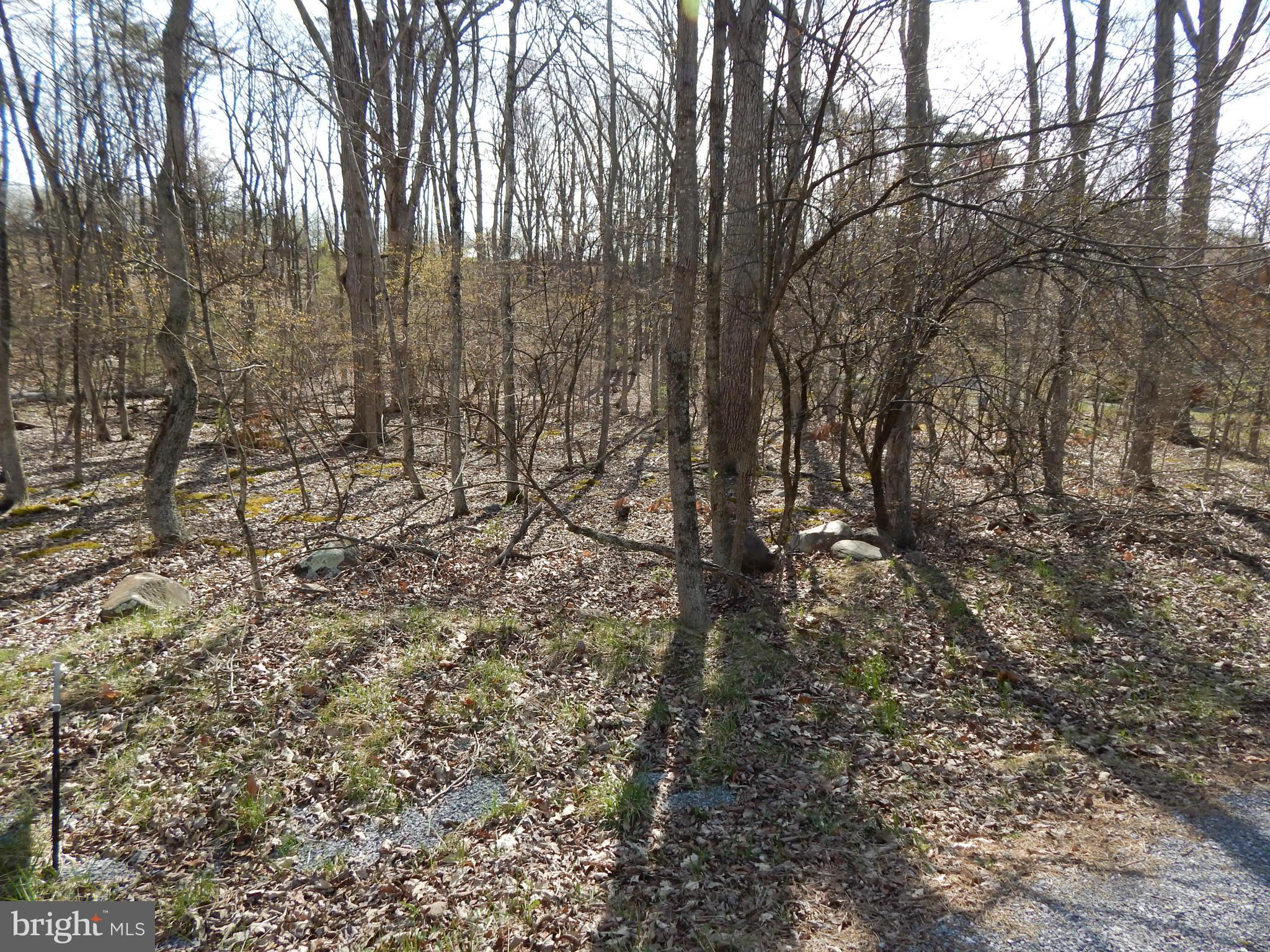 CACAPON SOUTH - Land