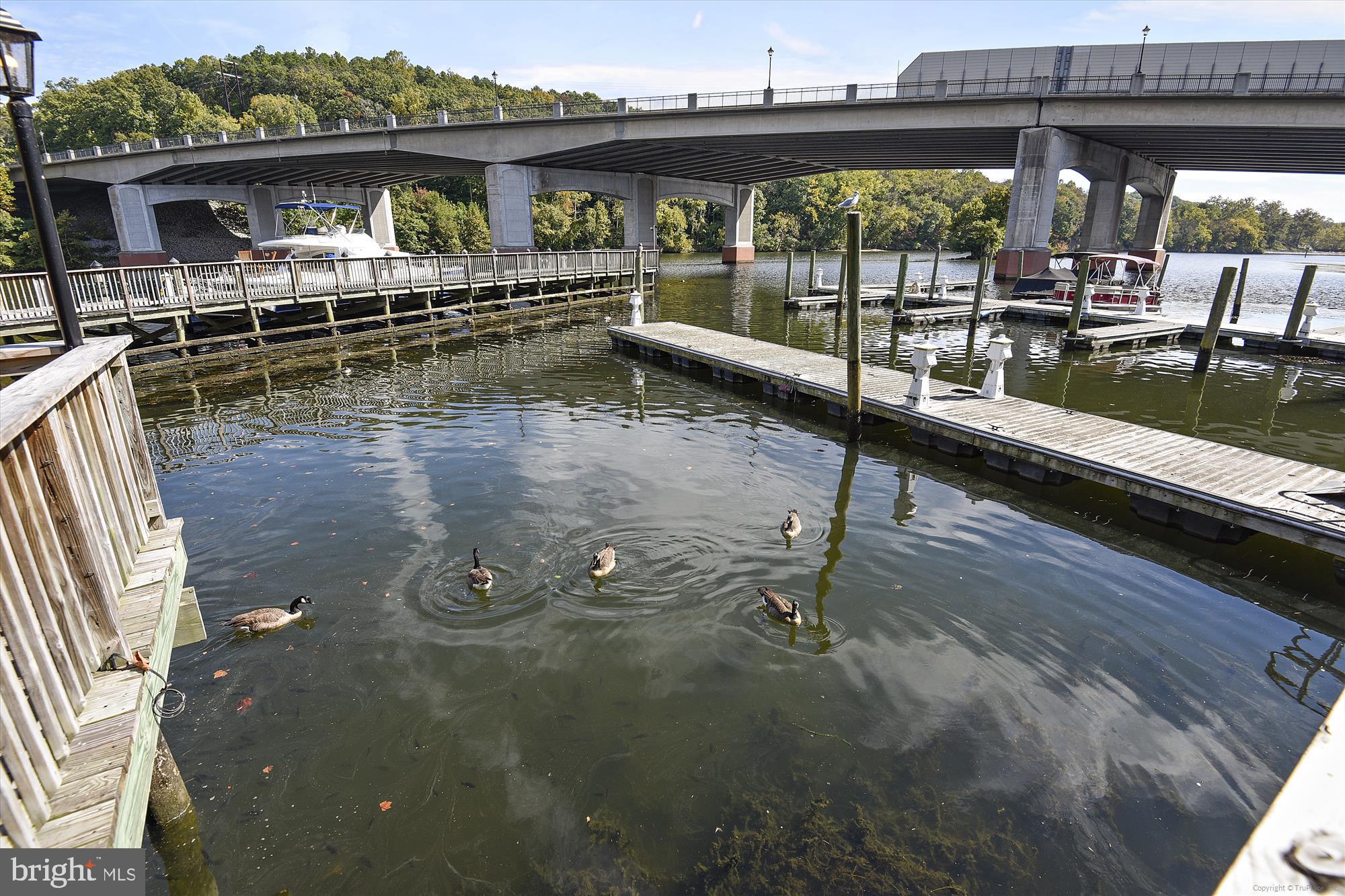 MOORINGS OF OCCOQUAN CON - Residential