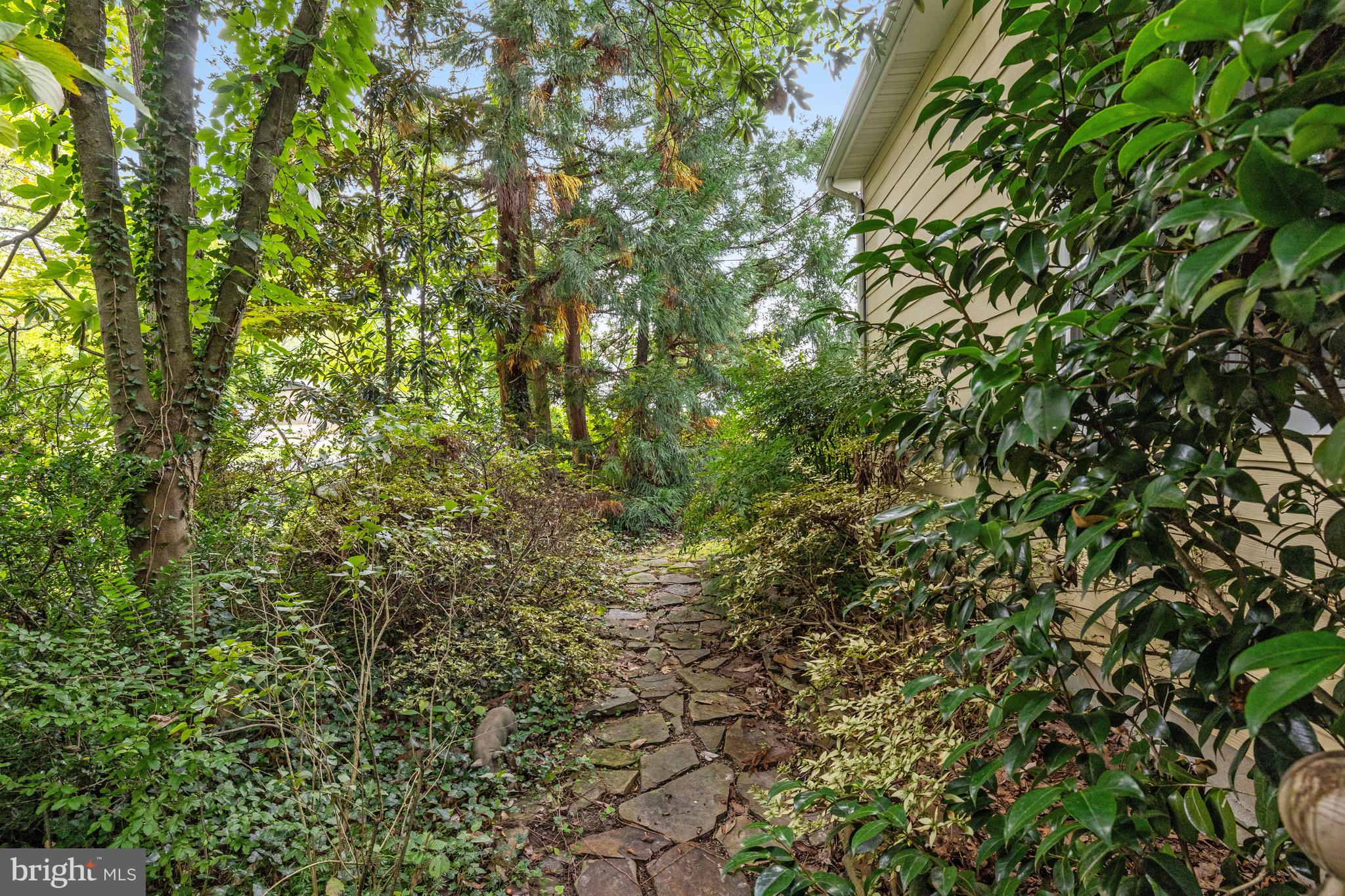 VAN VLECKS - Residential