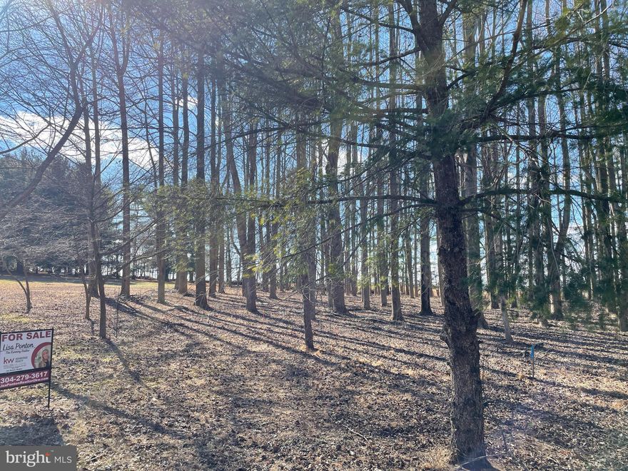 BUILD YOUR DREAM HOME! This private, level, partially wooded, 2.85 acre lot is waiting for you to build your dream home.  Gorgeous views! Rural setting!  Great commuter location! Close to Sam Michaels Park and Jefferson High School. This lot was recently subdivided and there is an additional parcel available.