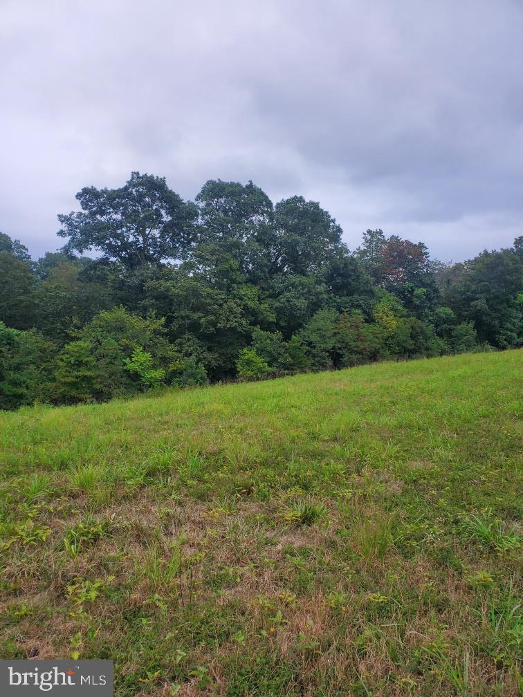 POTOMAC RIDGE LANE LOT 15