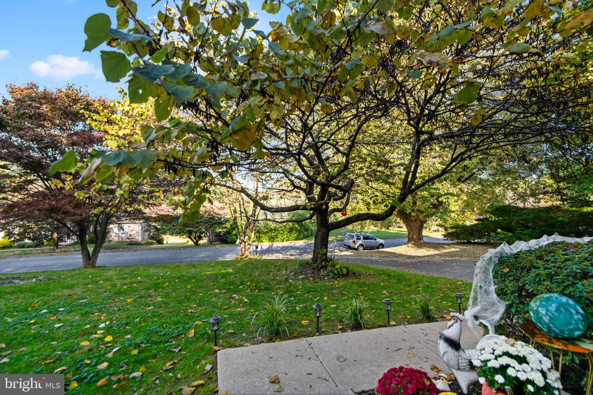 CLOVERDALE - Residential