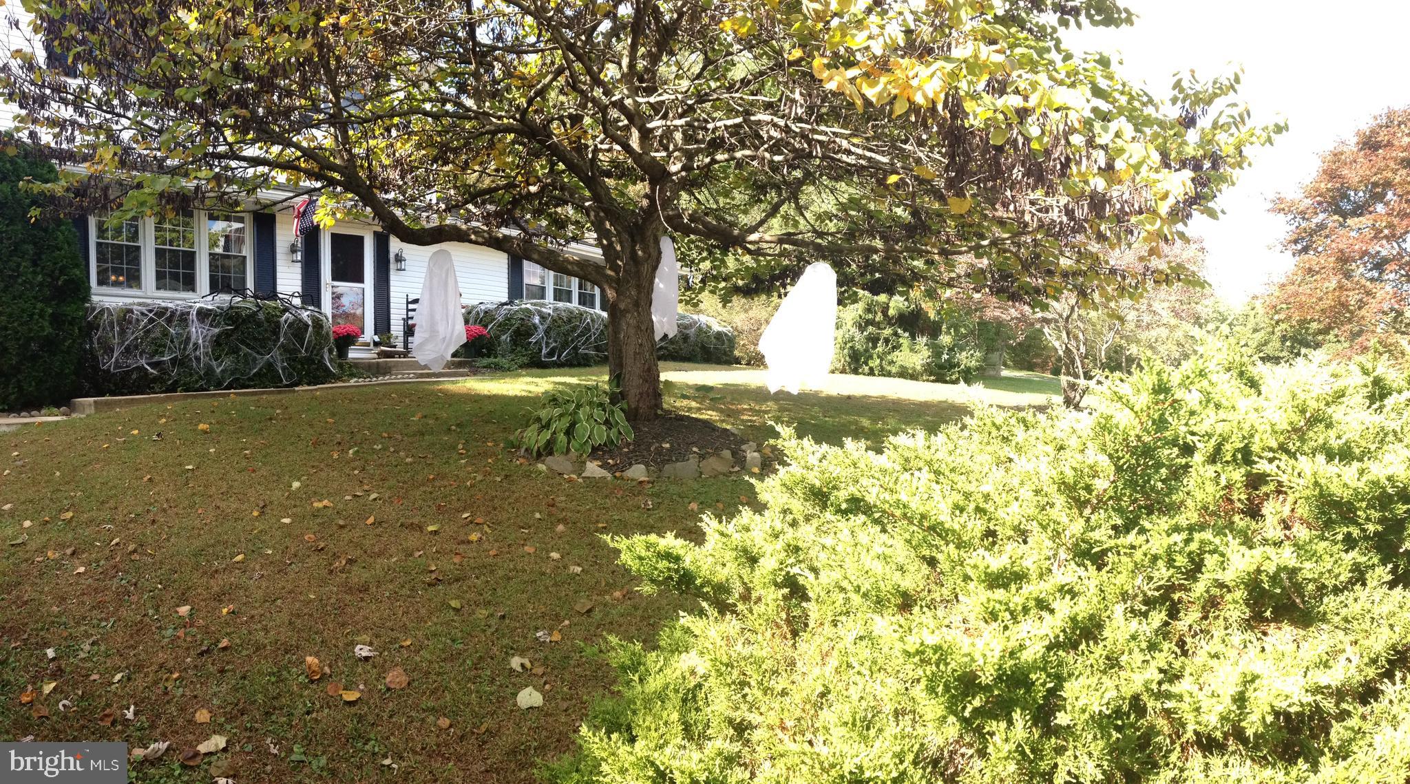 1602 THORNWOOD COURT