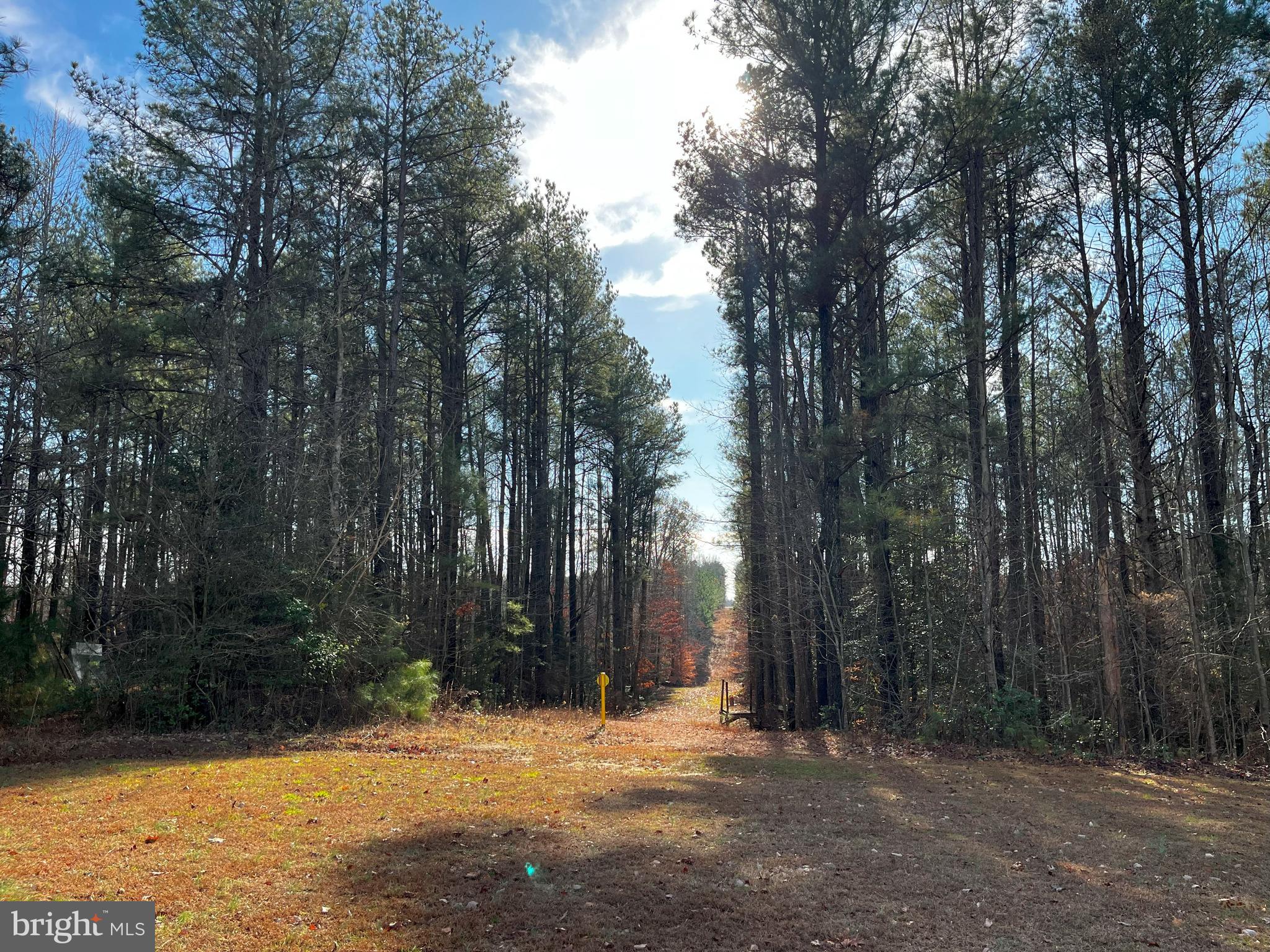 0B MCKENNEY DRIVE