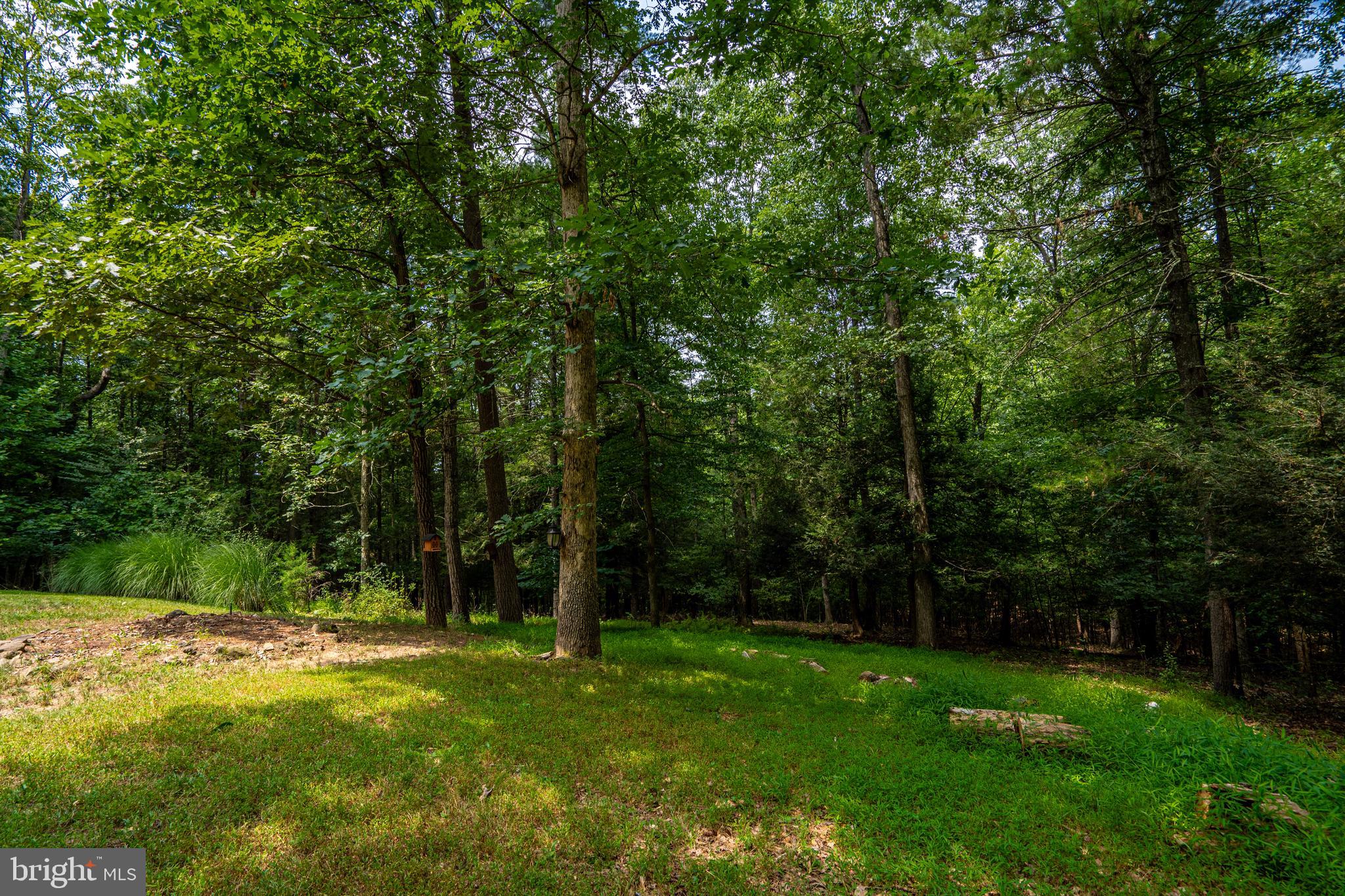 CHESTNUT GROVE - Residential